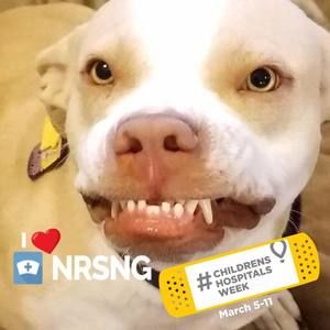 Meet your Posher, Beth